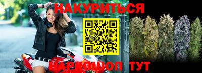 крисы Апшеронск