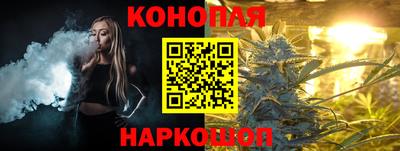 гашик Аргун