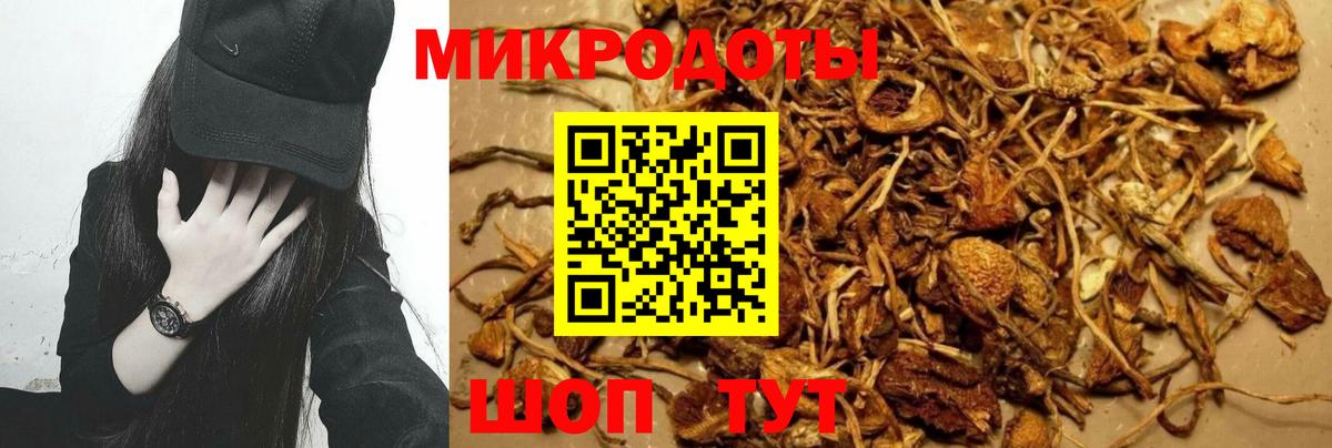 Псилоцибиновые грибы Magic Shrooms Артём